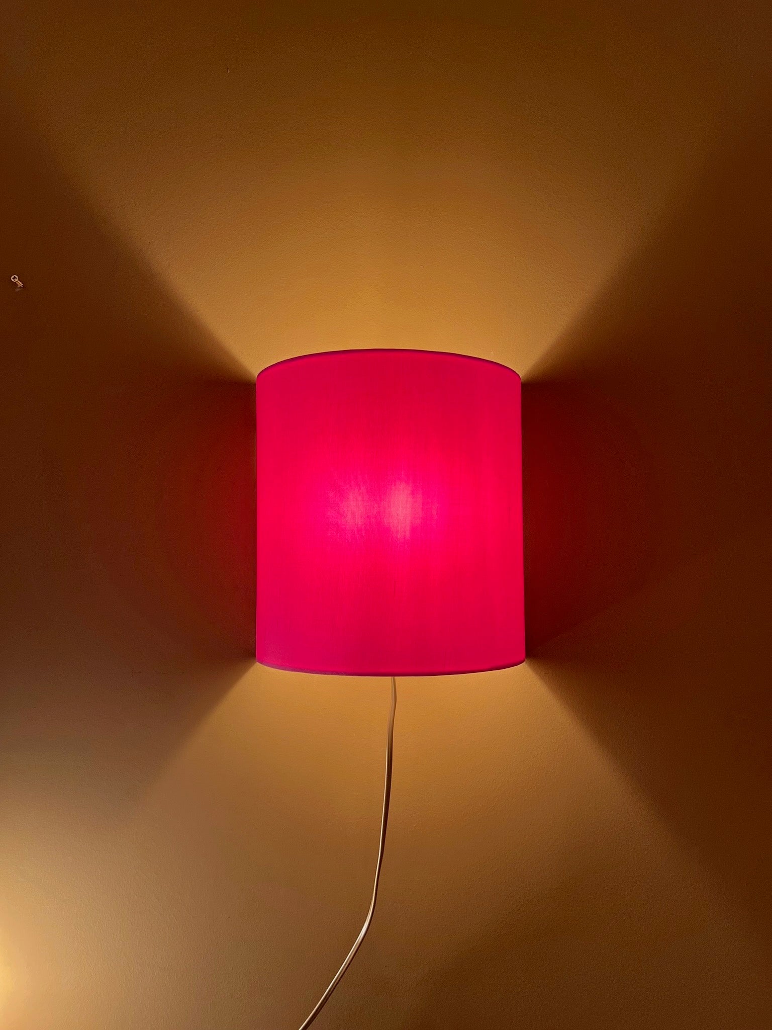 Doupion Silk Neon Pink | Wall Light